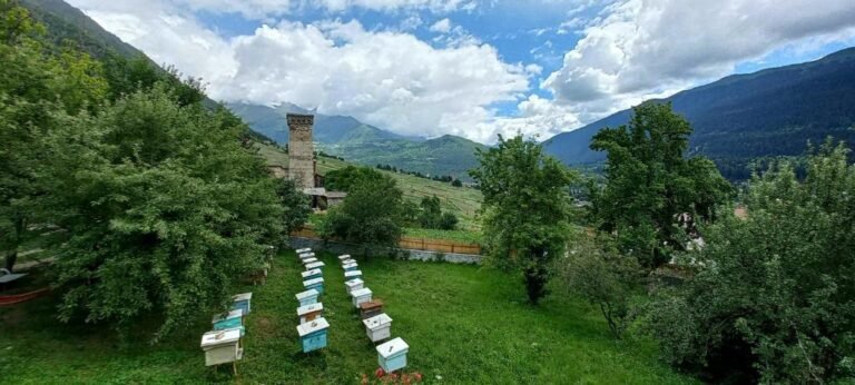 Bees Guesthouse