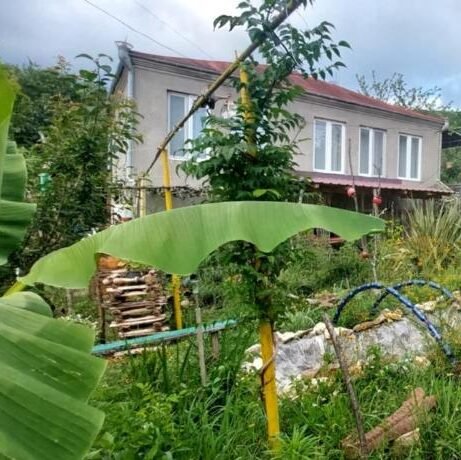 Kutaisi Guest House David