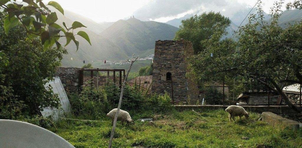 Archil and Nino Gigauri Guest House